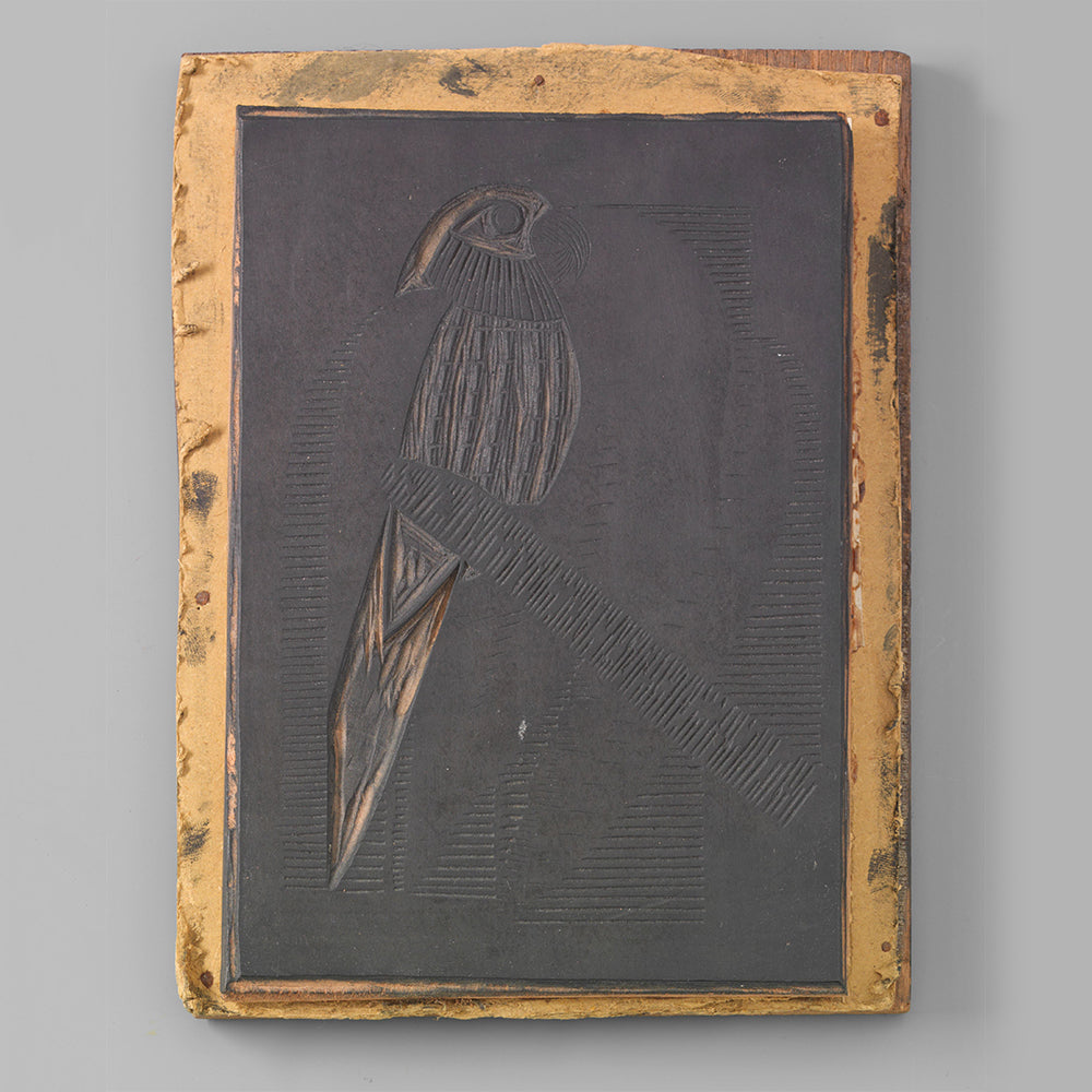 Samuel de MesquitaTropical Bird - Fine Art Print